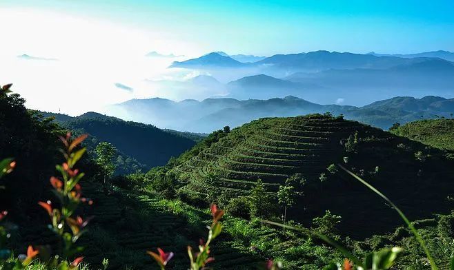 中国茶都—安溪茶旅明星城镇指南