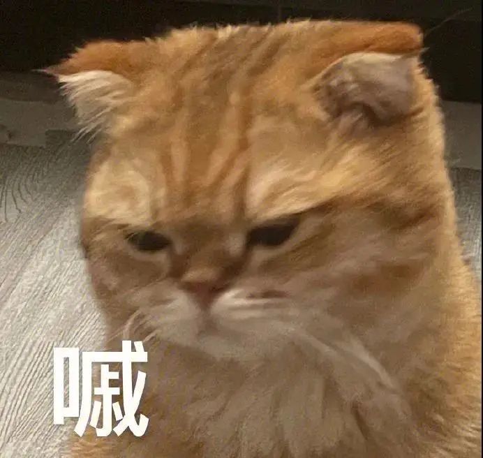 7.23表情包丨我的任务就是气你