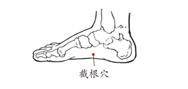 喉骨什么成语_喉骨图片(3)