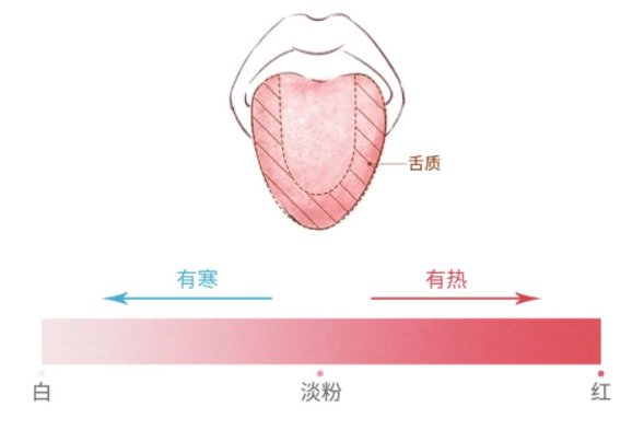 简单实用的舌诊图谱大全,一看就懂,教你快速识别疾病!