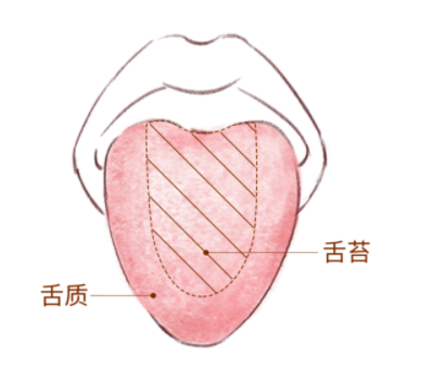 简单实用的舌诊图谱大全,一看就懂,教你快速识别疾病!