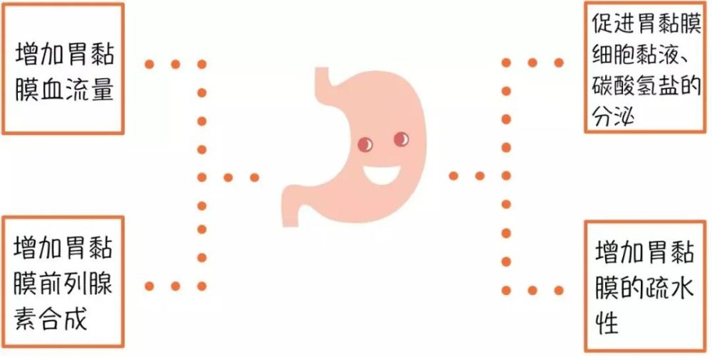 胃粘膜保护剂进入胃肠道后可迅速与黏膜结合,尤其是与受损黏膜部位