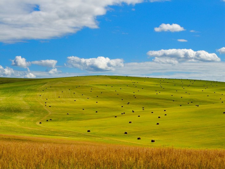 大草原排名_呼伦贝尔大草原图片(2)