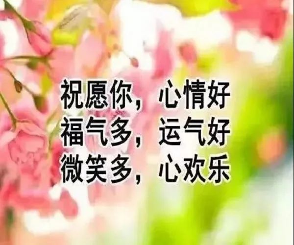 周六早安祝福语图片带字,星期天早上好夏天问候语短句子