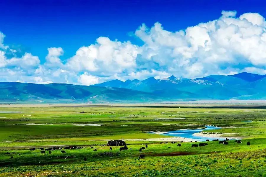 巴塘大草原 巴塘草原,地处青海玉树藏族自治州玉树县巴塘乡,是藏区
