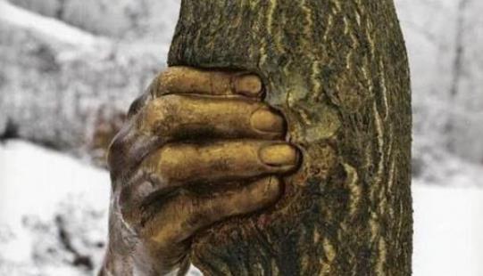 世界上的3大"神手",一个在沙漠中心,一个握着树,一个在中国