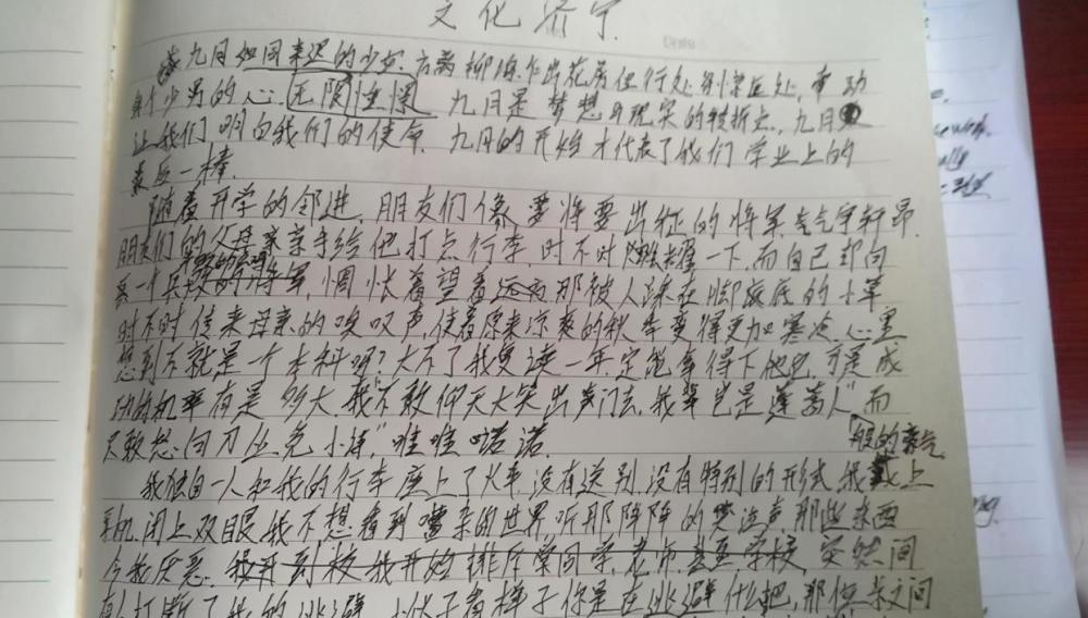 高中生苦练"鲸落字体",老师看后不忍扣分,奶酪体终究是错付了