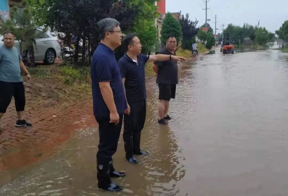 防汛!鸡泽县这样干