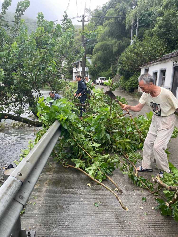 滚动大树倒伏溪坑受阻奉化群众合力清障迎战烟花