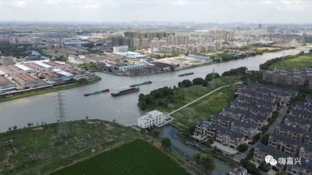 【迎战"烟花"】王江泾镇:巩固在建水利工程,用好现有闸站水闸!