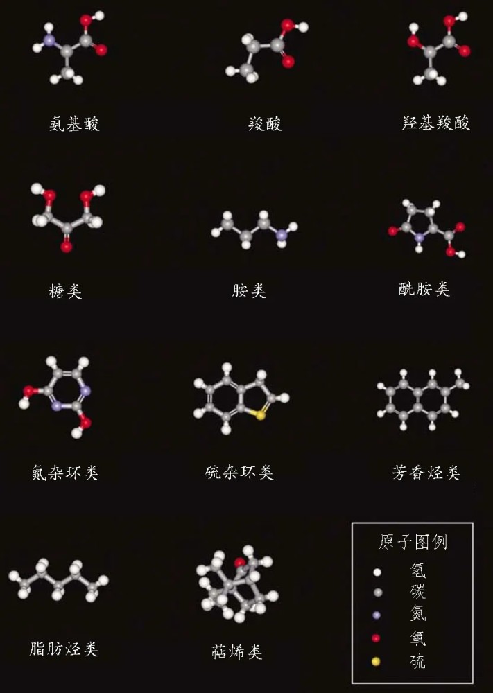 根据分子量大小,陨石中的有机物可分为两大类:小分子有机物(约占25%)