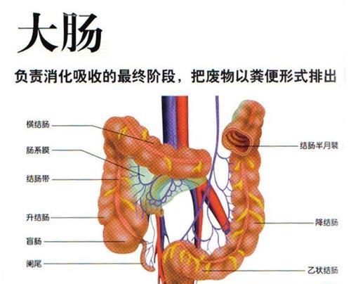 他是唯一被憋死的人,3年没排便,尸检时臭气熏天肠内大便重36斤