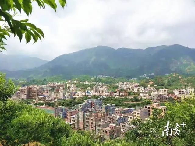颜值与内涵俱升,茂名信宜钱排"精品小城"再升级