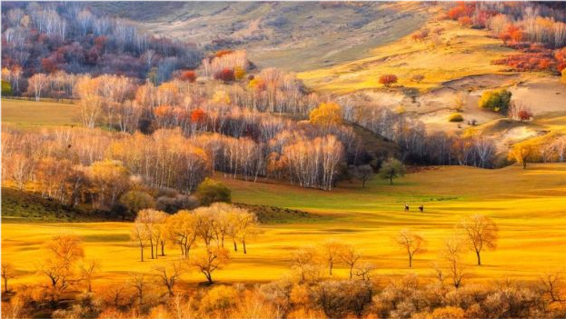 中国的秋天,像被上帝宠坏了,从南到北,从湖泊到山野