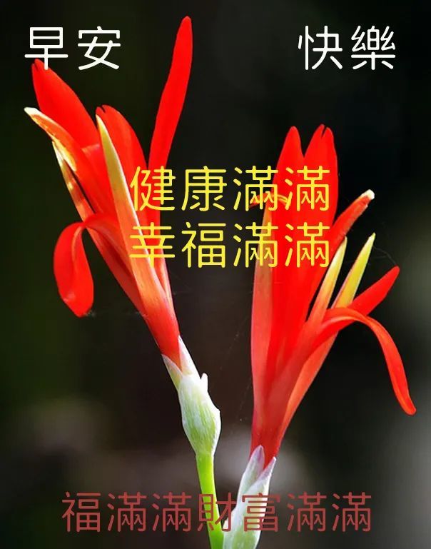 早上好朋友,最新早上好问候祝福语短信,最美早安问候表情图片带字