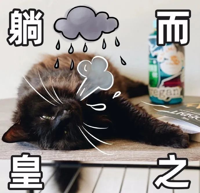 作为一种社会现象,"躺平"的背后,反映出的是群体性