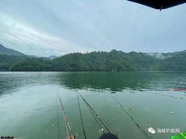 太平湖三天之旅:主钓黄尾