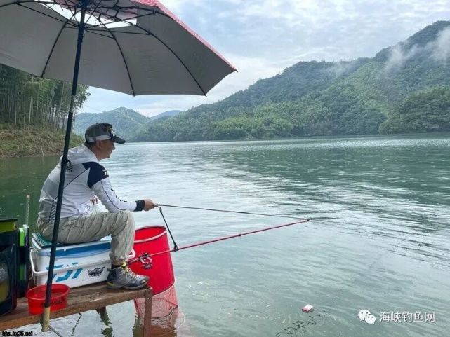 太平湖三天之旅:主钓黄尾