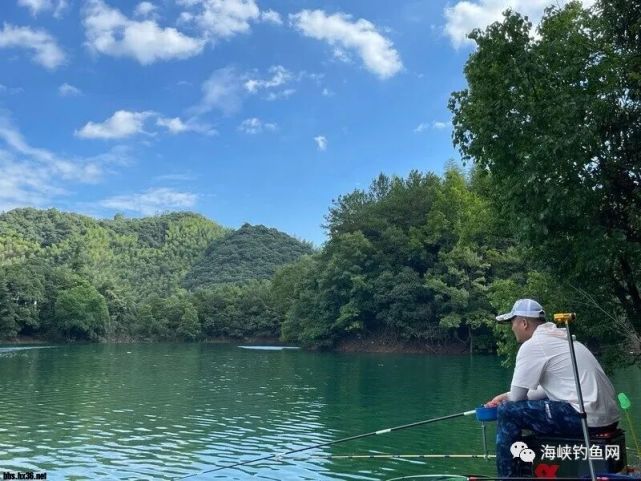 太平湖三天之旅:主钓黄尾