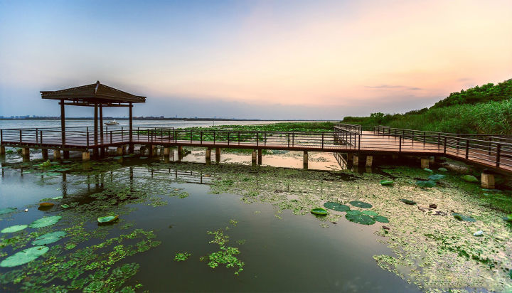 阳澄湖莲花岛自驾游 阳澄湖边的美景美味