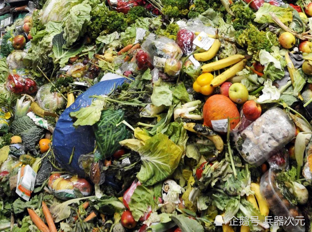 国家浪费粮食总量(我国每年浪费粮食总量)