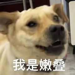 表情包我是嫩叠