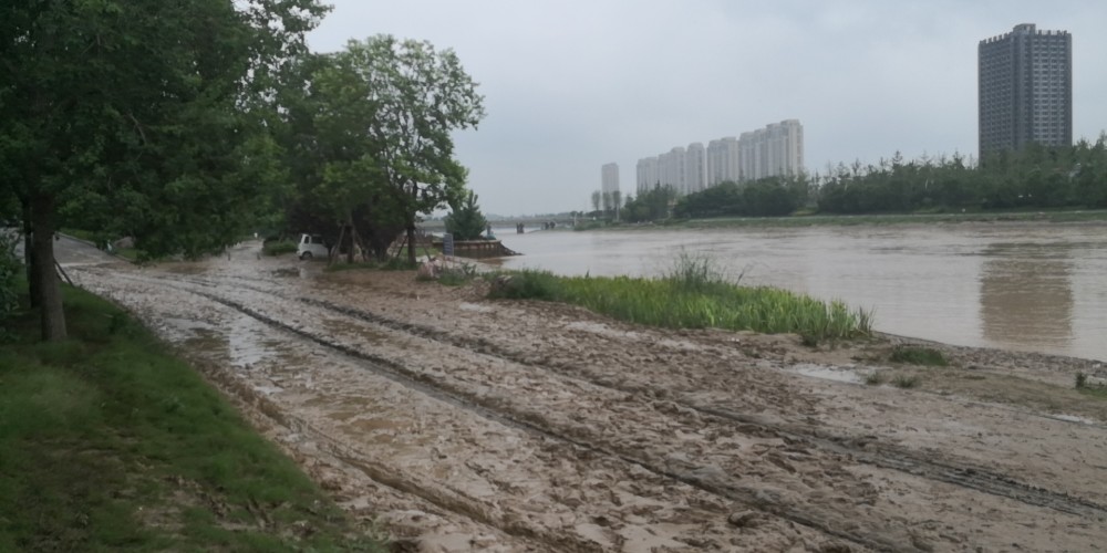 贾鲁河泄洪后两岸的淤泥逐步清理起来,不易,树被冲倒