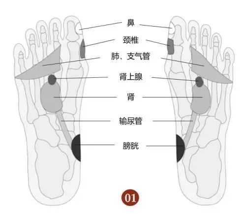 低头摸脚,百病治好,很多病在脚上都有开关,只是你不知道!