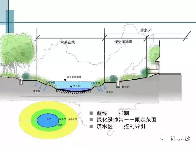 下凹式绿地实景图3)绿化缓冲带与生态护坡