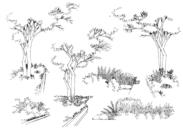 【手绘资源】建筑师也要学习的景观手绘树技法