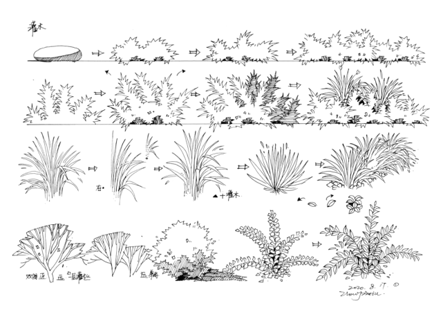 【手绘资源】建筑师也要学习的景观手绘树技法