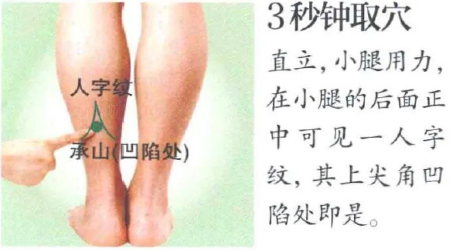 绝骨穴