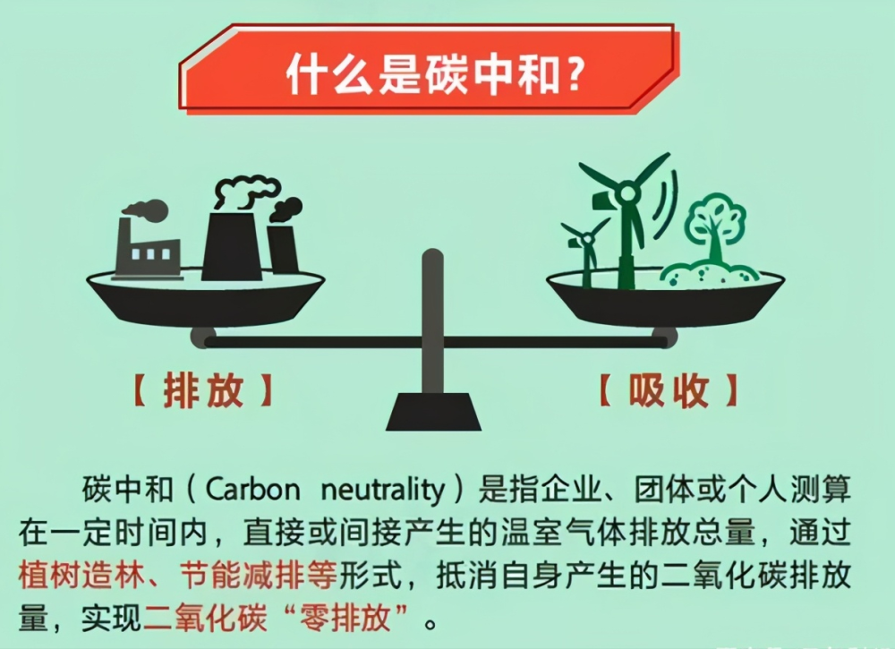 什么是"碳中和",为了适应国际形势,普通民众该做些什么?