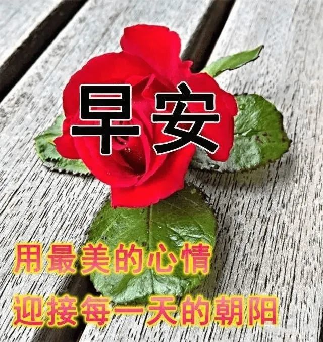 早上好朋友,早上好带字动图问候图片大全,会动的早安图片祝福语精选