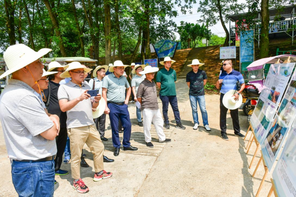 常德桃花源举行白麟洲旅游开发项目规划设计方案初评会