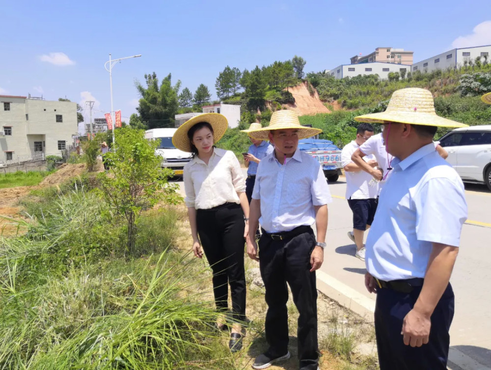 河源龙川:县长杨利华深入一线督导撂荒耕地加快推进复耕复种