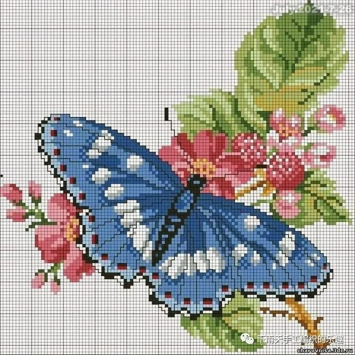 【像素图】个性多花片拼接钩针上衣 漂亮彩色蝴蝶十字绣网格图案图解
