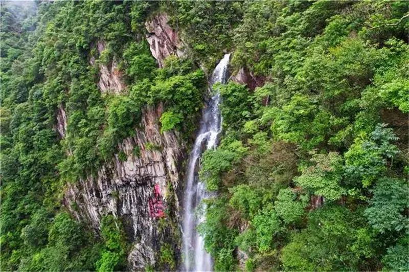 来三百山交通便利,转乘大巴至安远县三百山镇(每天一趟),有公共汽车