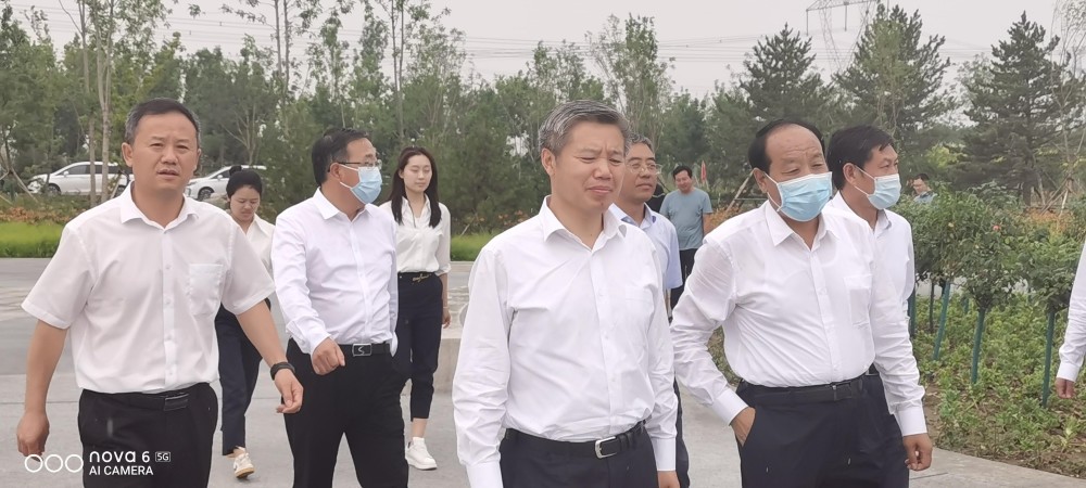 市委书记董晓宇视察雄安郊野公园承德林