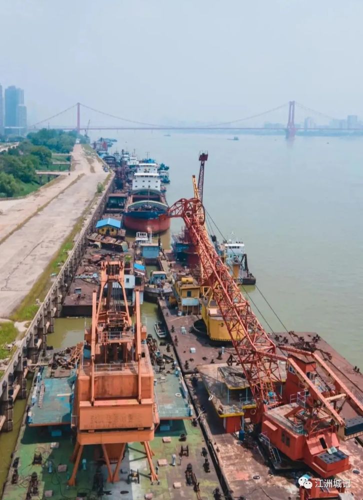 武汉启动百里长江生态廊道项目,杨泗港t台将在今年开工建设!