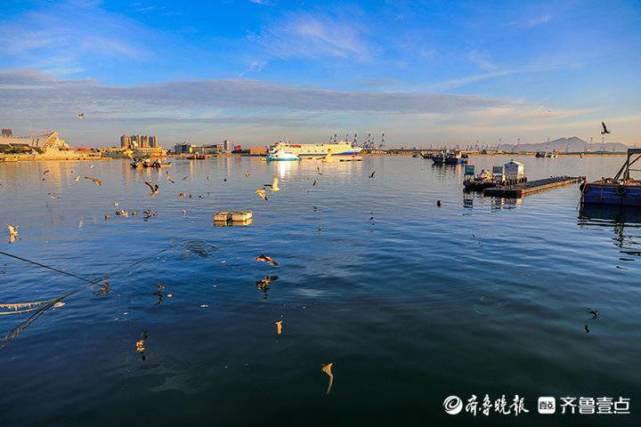 烟台海景美如画