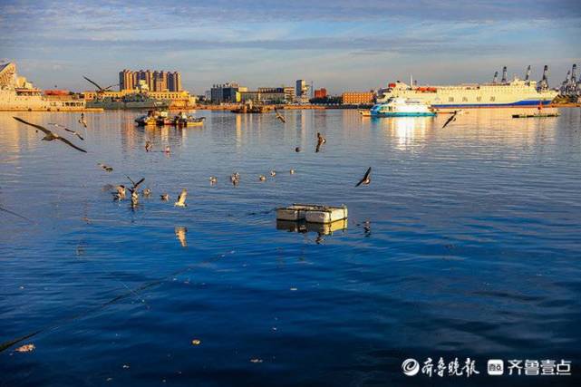 烟台海景美如画