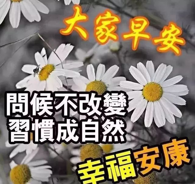 清晨问候大家早上好漂亮表情图片动态最美早晨好问候祝福语图片