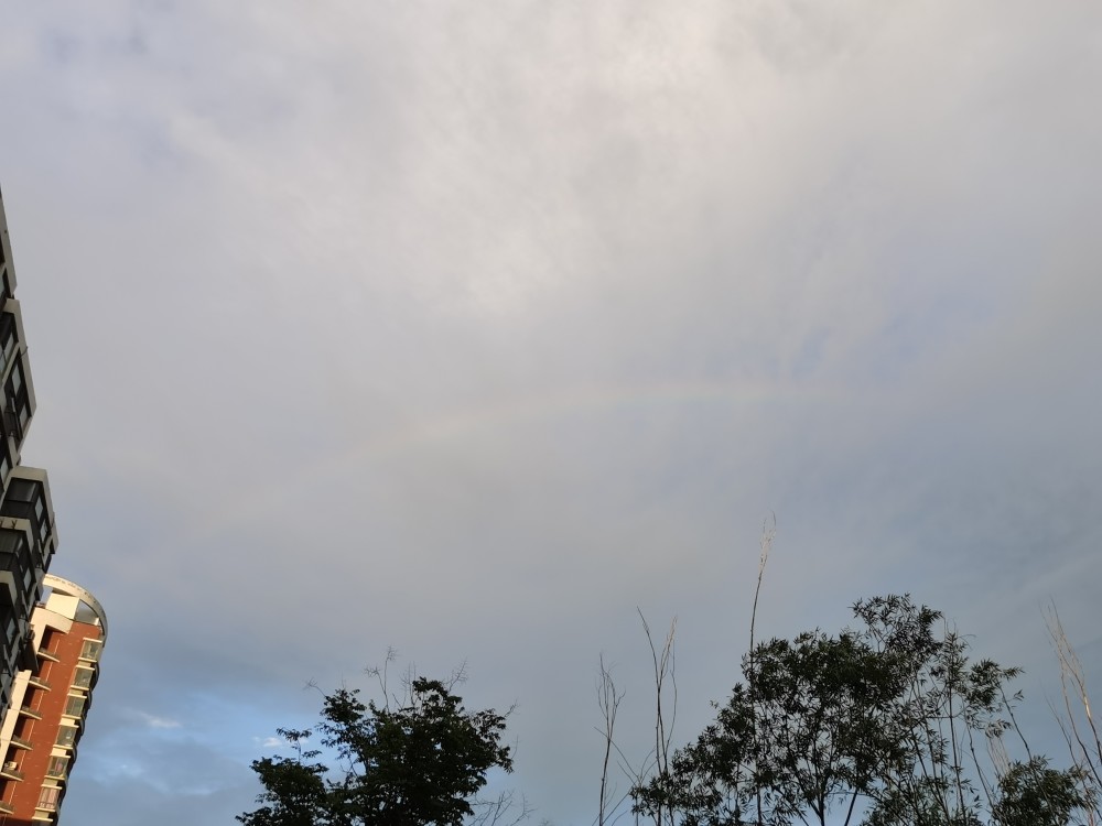 东营东城不经风雨却见彩虹