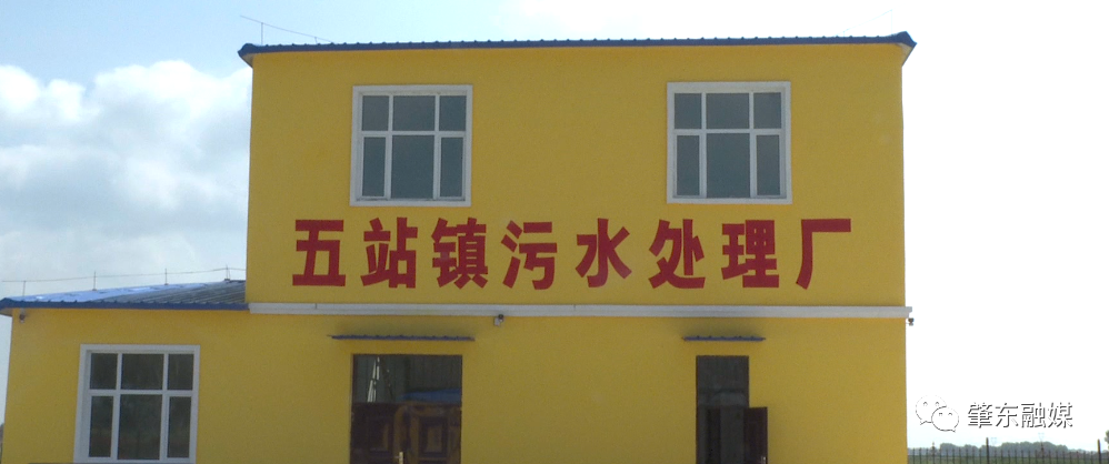 肇东融媒|五站镇绘就乡村振兴秀美画卷