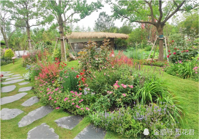 魔都上海的造园实力到底有多强看看这些花境就知道了