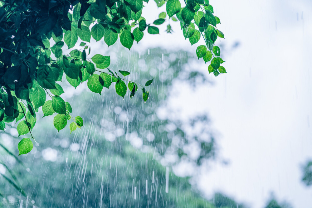 部分城市小雨转晴 河南钢市加快恢复