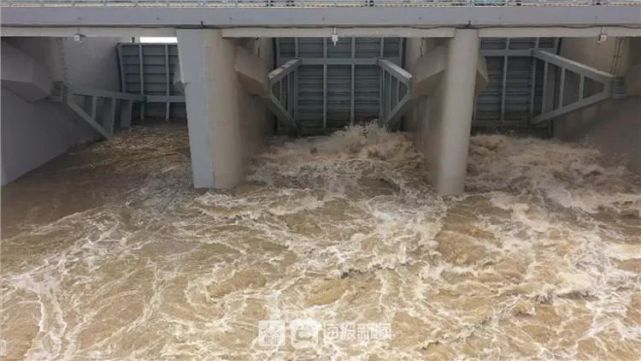 四女寺水利枢纽开闸行洪据介绍26日8时,漳卫新河提闸放水泄洪流量达