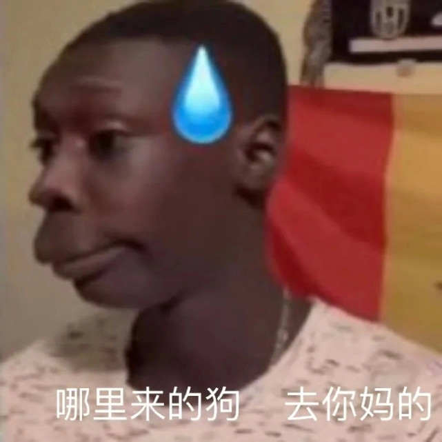 表情包:世界上最睿智的人