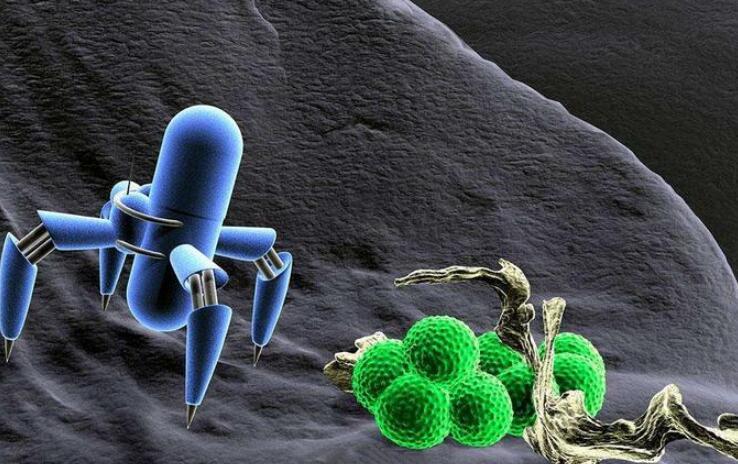 为什么噬菌体长得那么科幻?难道它们不是地球生物?